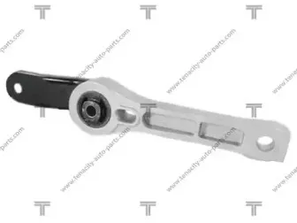 AWSAU1004 TENACITY Подвеска, двигатель