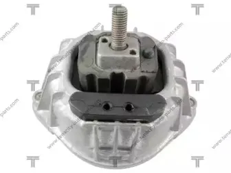 AWSBM1036 TENACITY Подвеска, двигатель