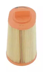 champion-caf100464c