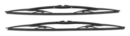 champion-e53b02