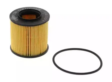 champion-cof100540e
