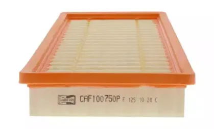 CAF100657P CHAMPION
