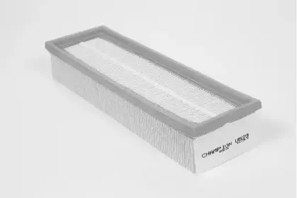champion-u529606