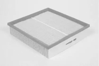champion-u588606