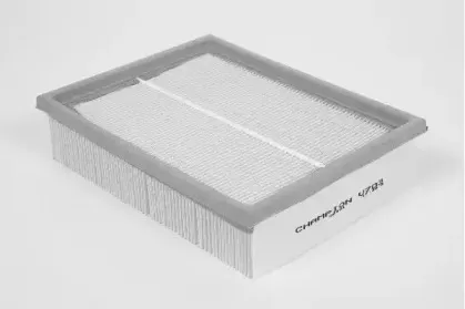 champion-u703606