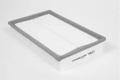 champion-u837606