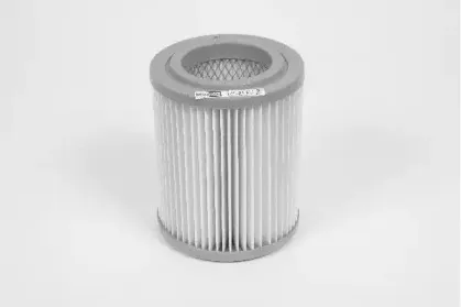 champion-v457606