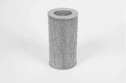 champion-v470606