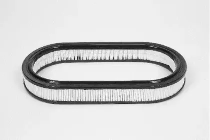 champion-w226606