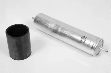 L435606 CHAMPION Топливный фильтр