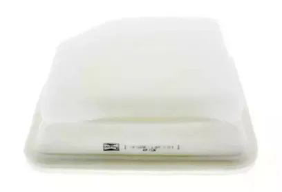 champion-caf100874p