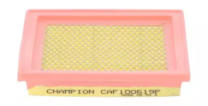 champion-caf100619p