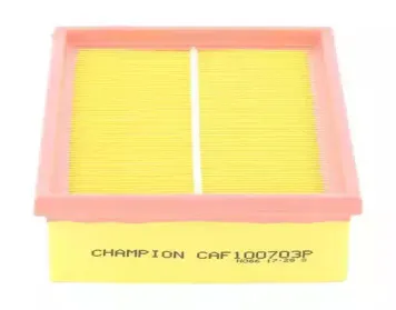 champion-caf100703p