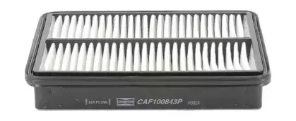 champion-caf100843p