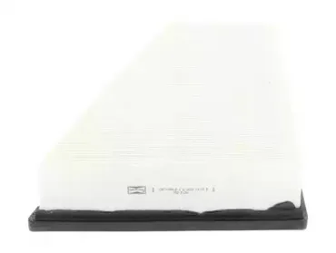champion-caf100861p