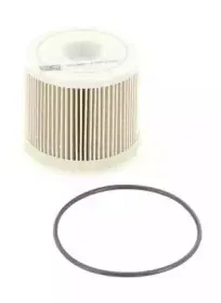 champion-cff100486