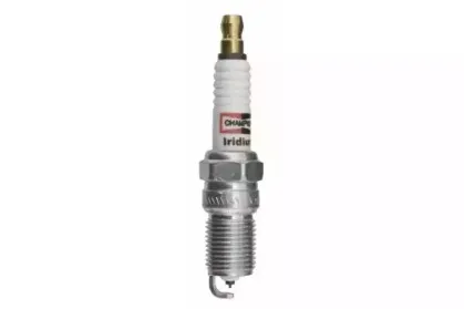 champion-oe183t10
