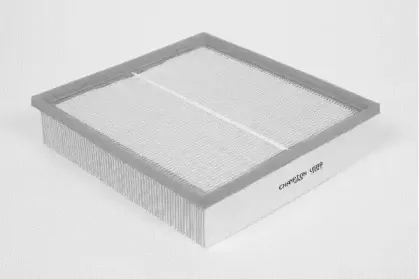 champion-u588606