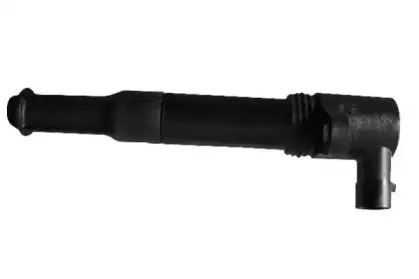 champion-bae851ae245