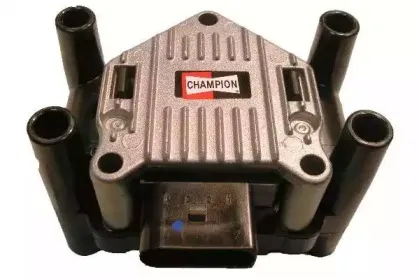 champion-bae907ae245