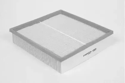 champion-u588606