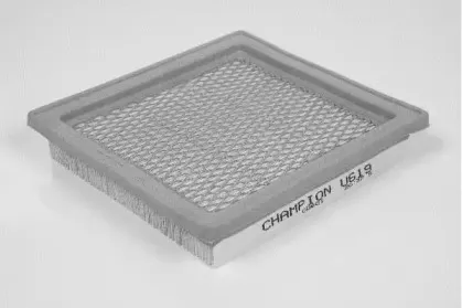 champion-u619606