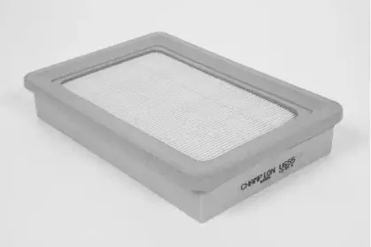 champion-u655606