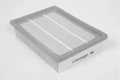 champion-u663606