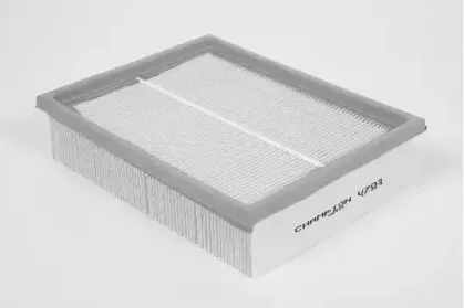 champion-u703606