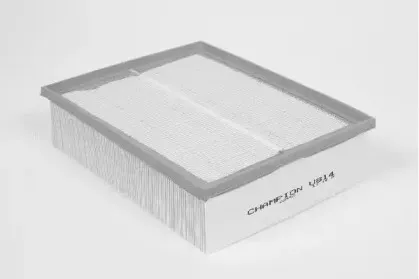 champion-u814606