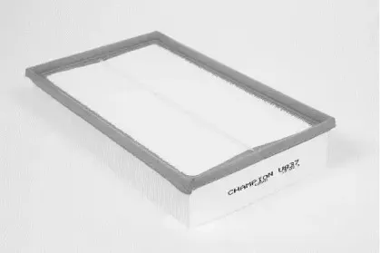 champion-u837606