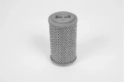 champion-v409606