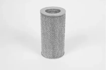 champion-v470606