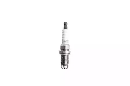 champion-oe019t10