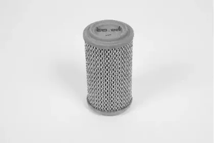 champion-v409606