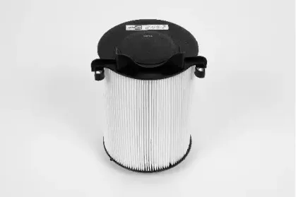 champion-v467606