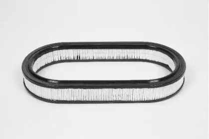 champion-w226606