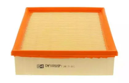 champion-caf100505p