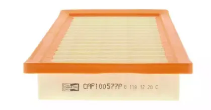 champion-caf100577p