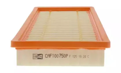 champion-caf100657p