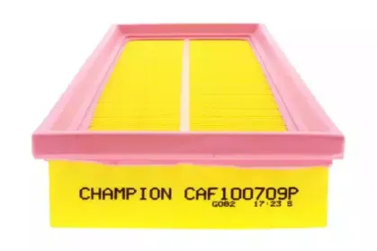 champion-caf100709p