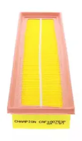 champion-caf100753p