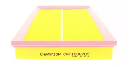 champion-caf100785p