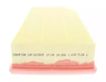 champion-caf100787p