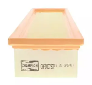 champion-caf100797p