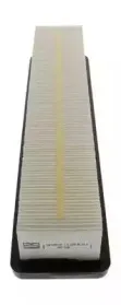 champion-caf100817p