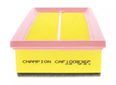 champion-caf100836p