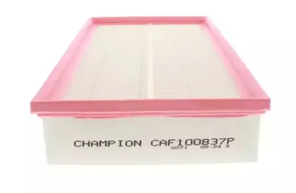 champion-caf100837p