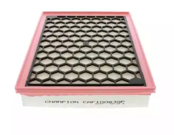 champion-caf100839p