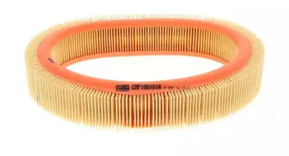champion-caf100101r